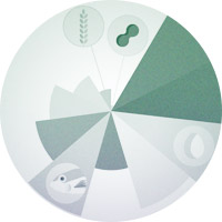 Dossier nutrition Dossier nutrition