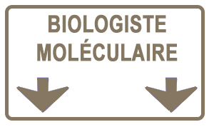 Sandrine, biologiste moléculaire