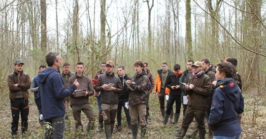 LP Conseille forestier