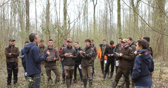 LP Conseille forestier