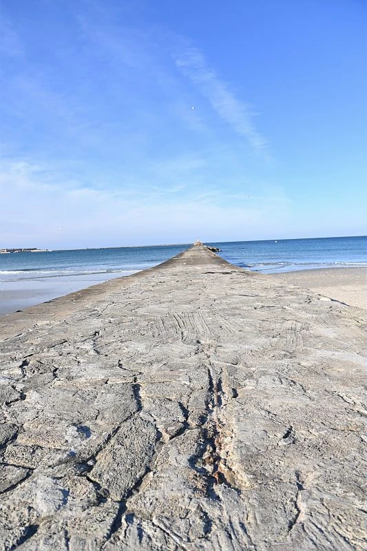 Grand large : l’Intechmer choisi pour étudier l'impact de l'éolien en mer sur la biodiversité marine