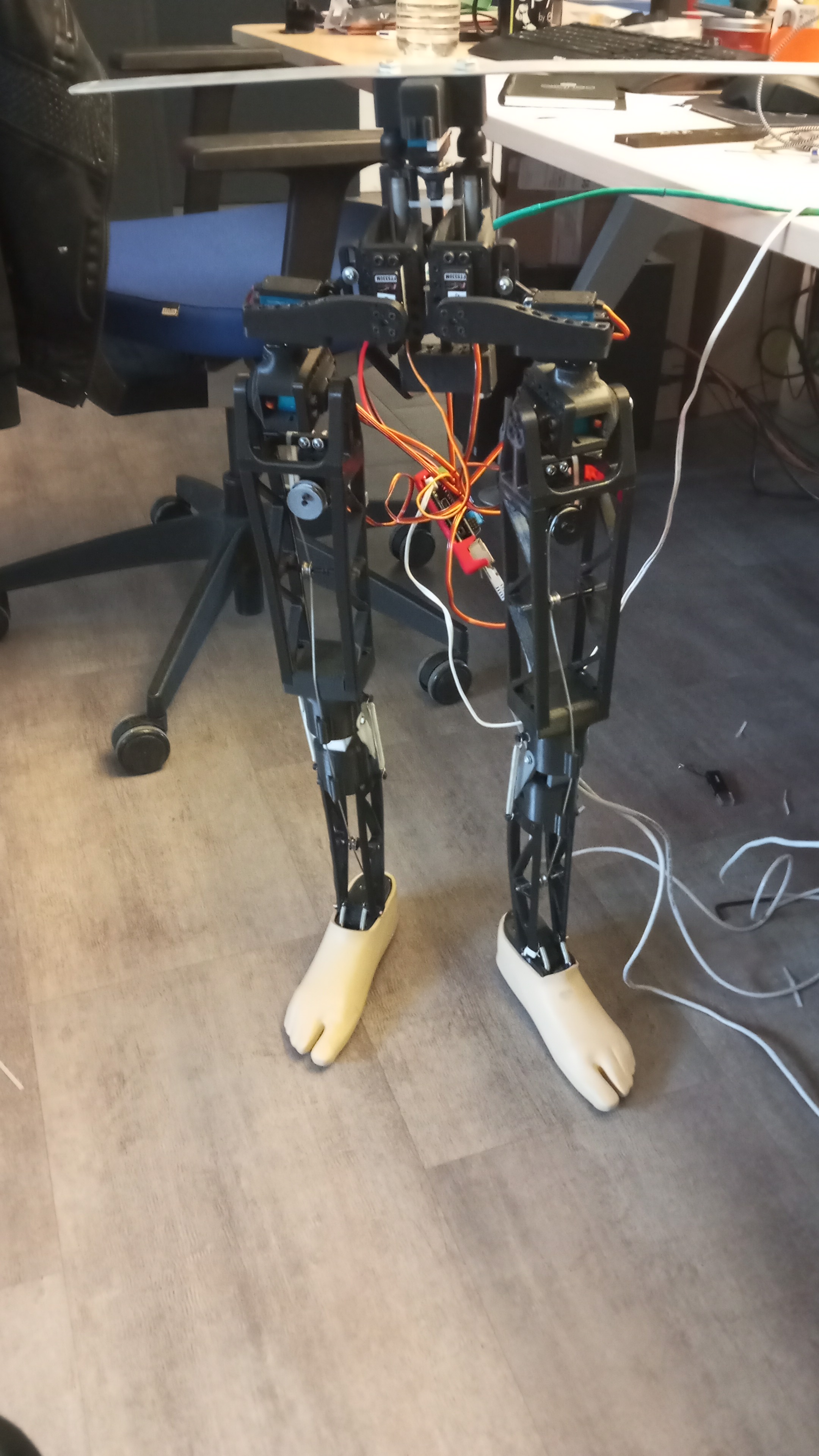 Archibald, le demi-robot développé par Thomas Brenac