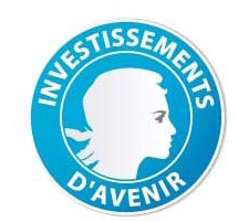 Investissement d'avenir Investissement d'avenir