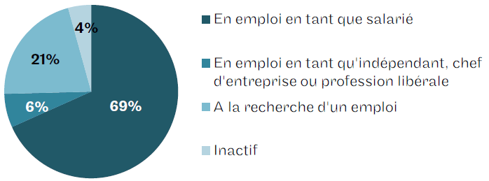 Situation professionnelle